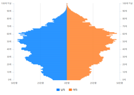 대한민국 인구피라미드